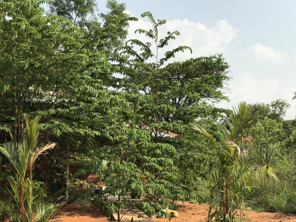 Sunshine Resort & Spa Sigiriya Eksteriør bilde